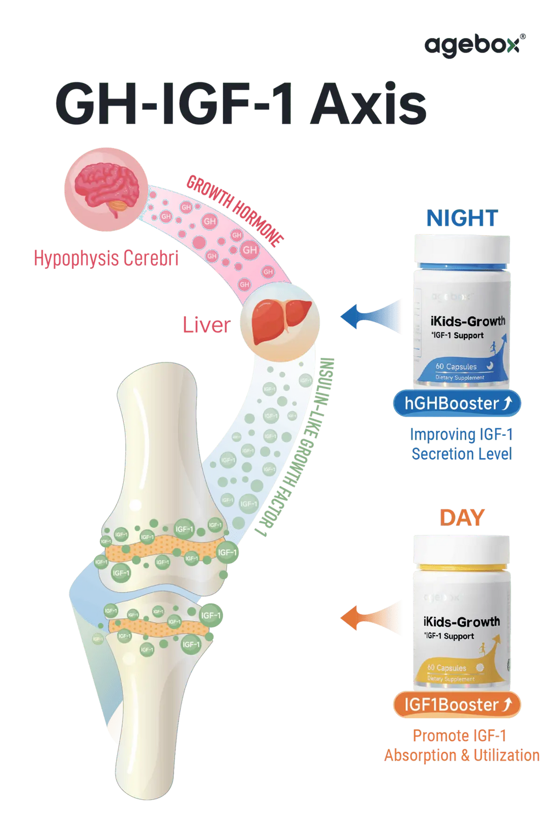 AGEBOX iKids-Growth Helps Kids Grow &amp; Develop Healthily for Kids Ages 5 to 18 (Day + Night)